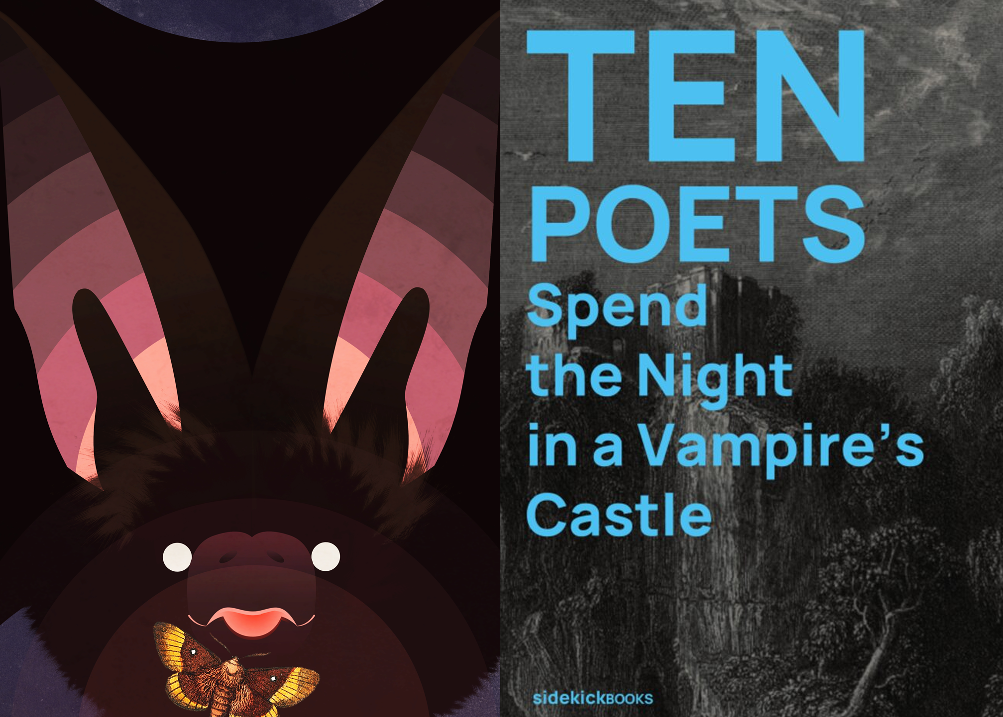 Covers to Battalion (giant bat eating moth!) and Ten Poets Spend the Night in a Vampire's Castle (blue text against castle engraving), side by side